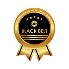 Lean Six Sigma
