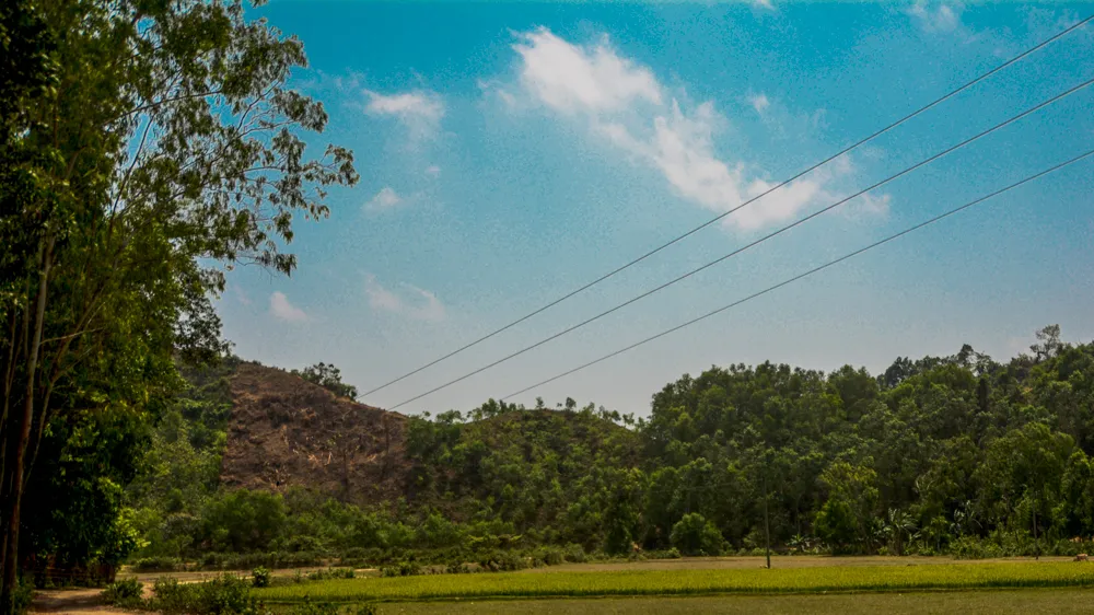 20240501 DSC 0431