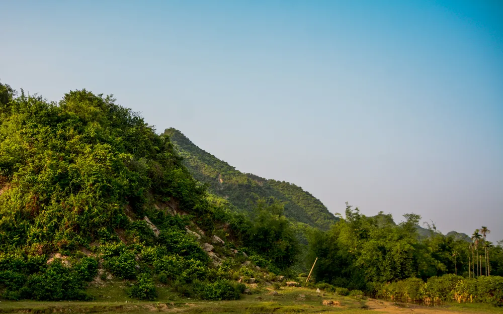 20240501 DSC 0448
