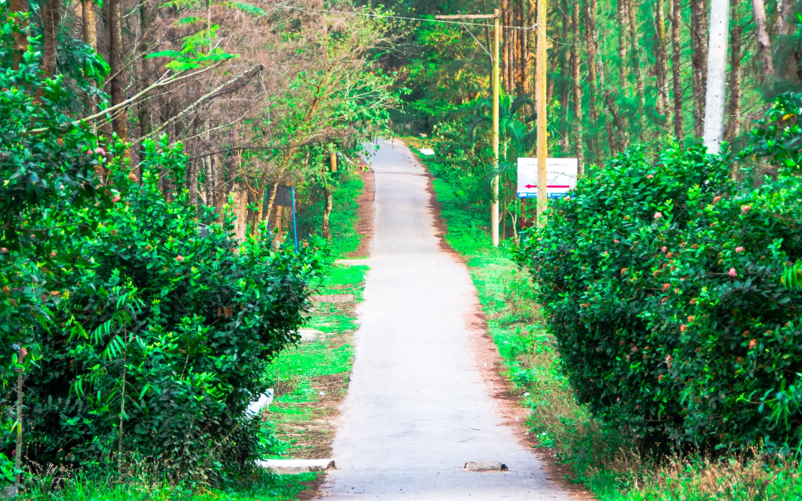Pachgaon Netrokona